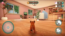 Cat Simulator 2 Mod Apk (Unlimited Money) background image
